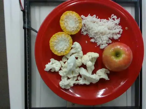 Plate with two pieces of corn on the cob, white rice, cauliflower and an apple.